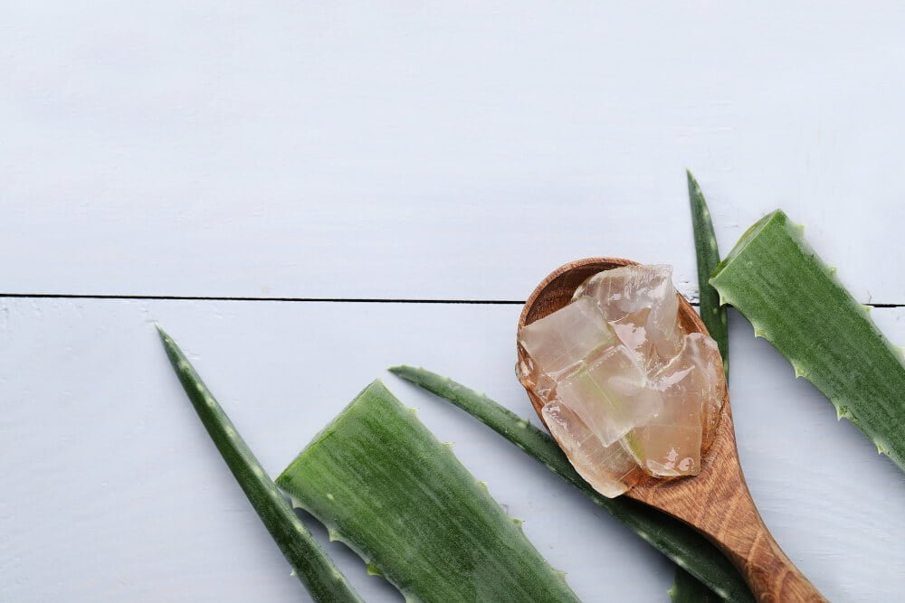 Benefits of Aloe Vera tooth gel for the beautiful teeth 1 Benefits of Aloe Vera tooth-girlsnbeauty.com