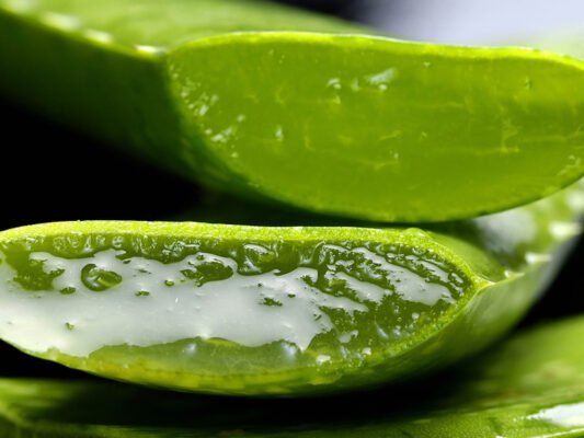 Benefits of Aloe Vera tooth gel for the beautiful teeth, Girlsnbeauty.com
